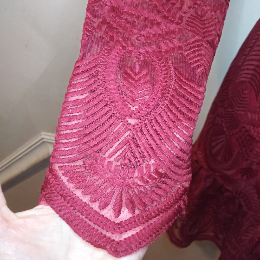 Xenia Boutique Sexy Burgundy Embroidered Net Ruffled Hem Mini Dress - Picture 7 of 16